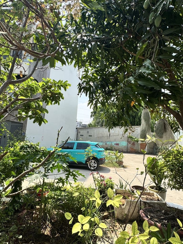 Đất 2 Mặt tiền Bình Lợi P13 Bình Thạnh -DT 6,5x25 (146m2)- Giá 13.2 tỷ - Ảnh 3