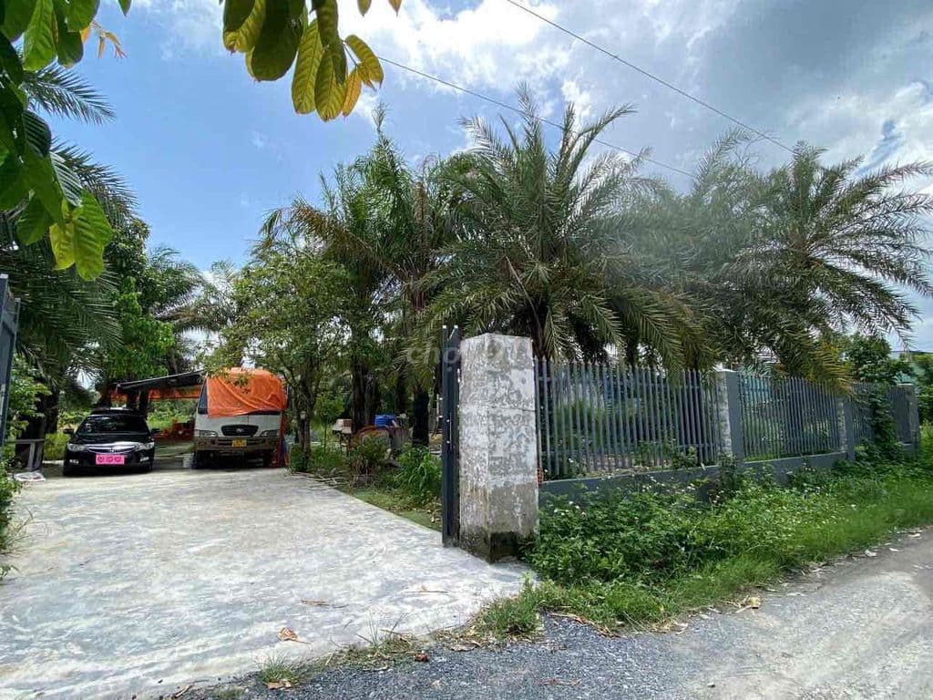 Đất sẵn sổ ngang23x60 mặt tiền đường xe tải thông - Ảnh 2