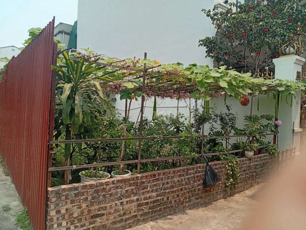 Tôii bán Đất Yên Thường