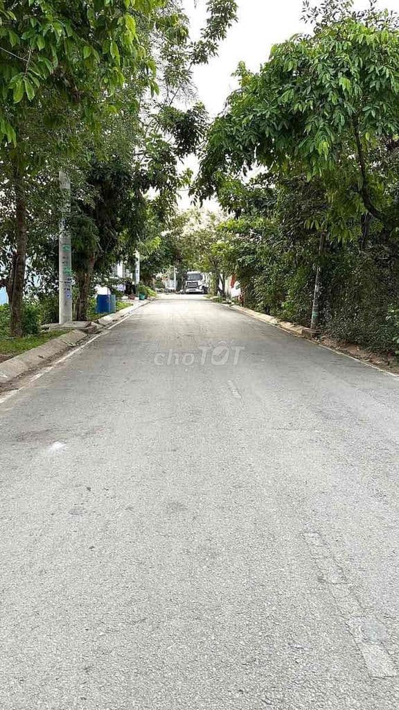 Bán Đất thổ cư 480m2 sổ hồng riêng tặng nhà cấp 4 - Ảnh 2