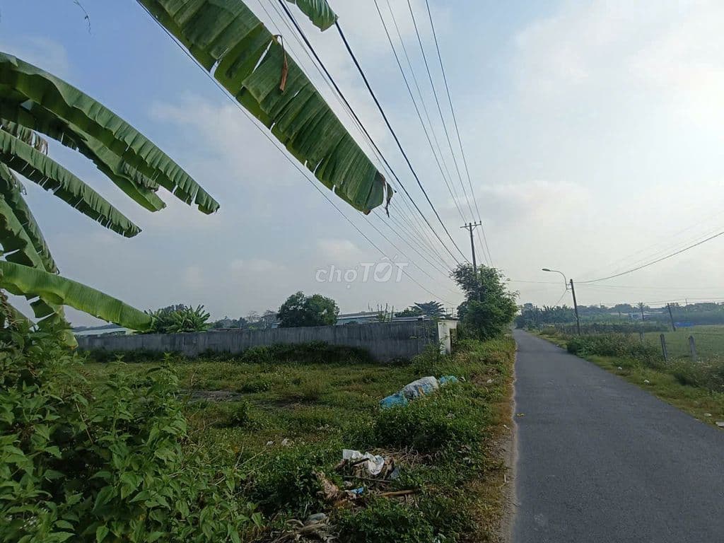 BÁN LÔ ĐẤT MẶT TIỀN TRẦN QUANG ĐẠO X.TÂN THÔNG HỘI 400M2 GIÁ 900TR - Ảnh 3