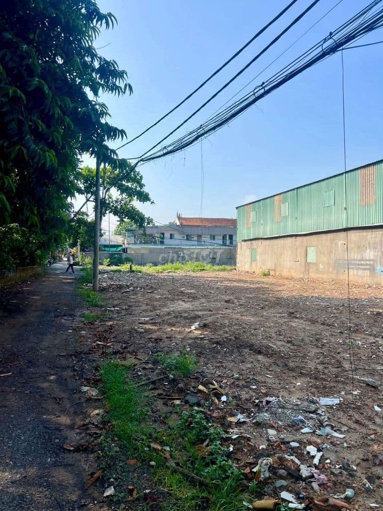 đất gốc 2 mặt tiền sông đường nhựa - Ảnh 2