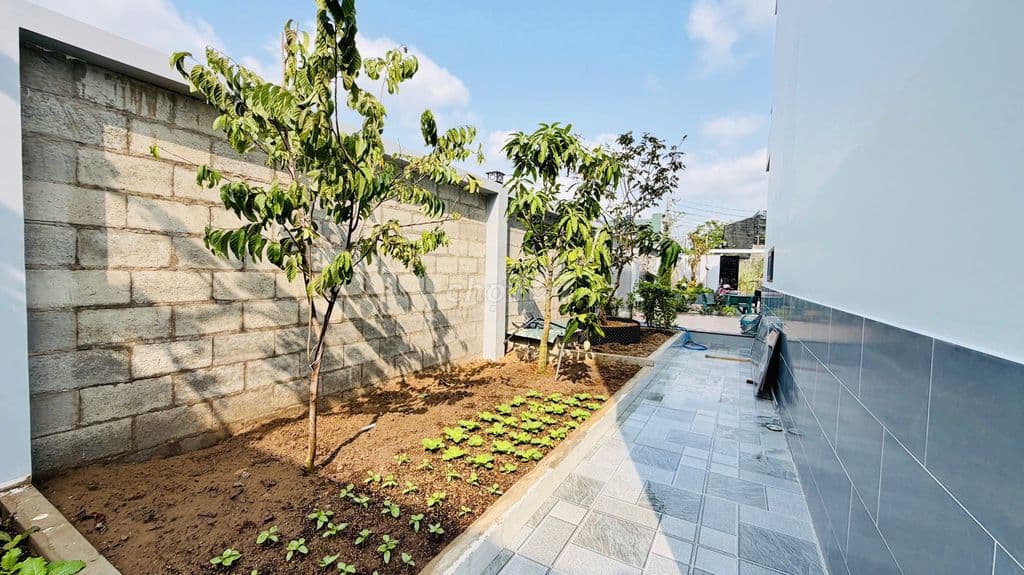 🌿BÁN NHÀ VƯỜN SIÊU ĐẸP – KHÔNG GIAN XANH MÁT CÂY ĂN TRÁI 🪴 - Ảnh 3