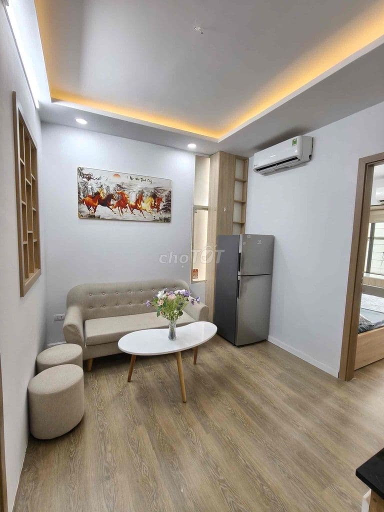 Bán CCMN Nguyễn Trãi, Gần Pico, Thoáng Đẹp Giá Rẻ, Full Nội Thất - Ảnh 3