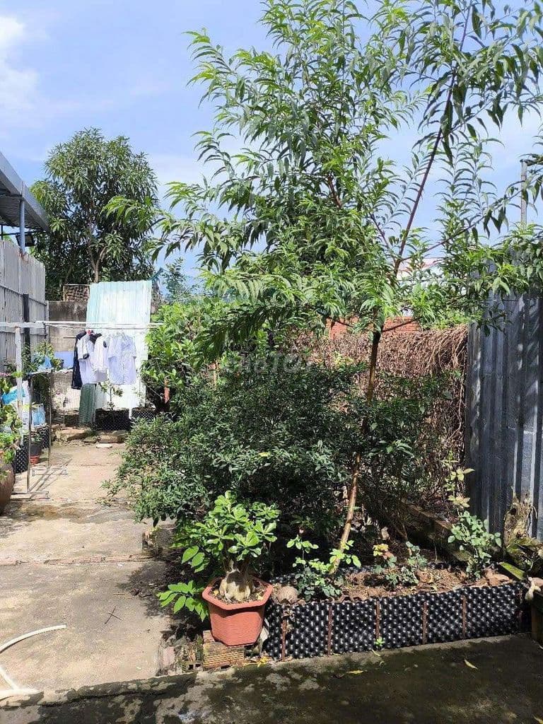 NHÀ CẤP 4 HƠI CŨ MẶT TIỀN HẺM CHÙA LONG PHÚ GẦN QUA CẦU GẠCH DƠI 300M - Ảnh 2