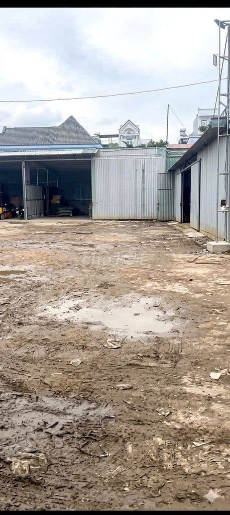 700M2 FULL - THỔ CƯ QUẬN 12 -NHỈNH 23TR/M2 - NGANG 20M - HẺM XE TẢI - Ảnh 2