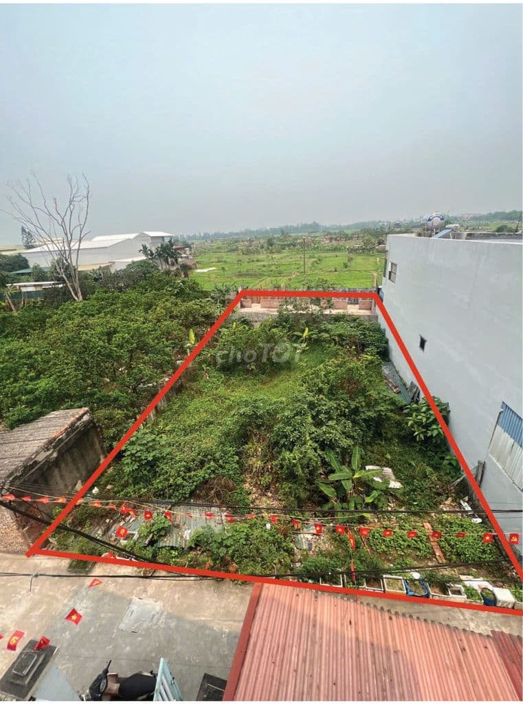 Bán đất - Ảnh 2