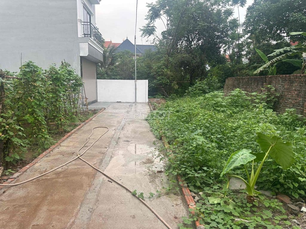 cần bán lô đất ở bán đảo sơn hà Đắc sở hoài đức - Ảnh 2