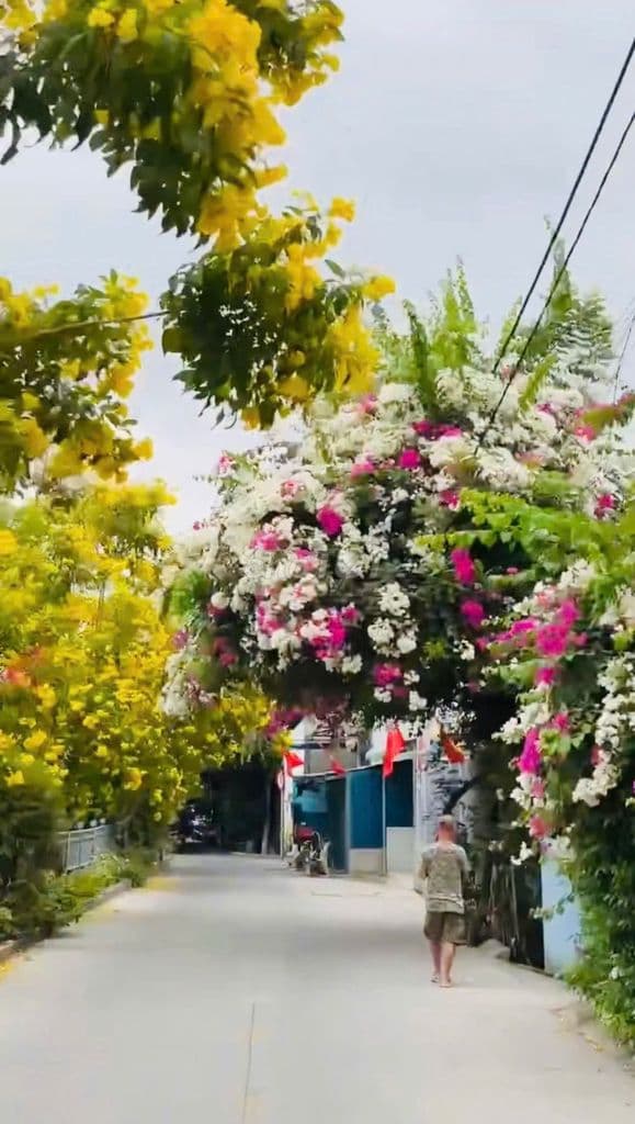 🏡 Ở Thạnh Lộc mà tưởng đâu ở ĐL ấy nhỉ , Đường hoa An Phú Đông, Q12