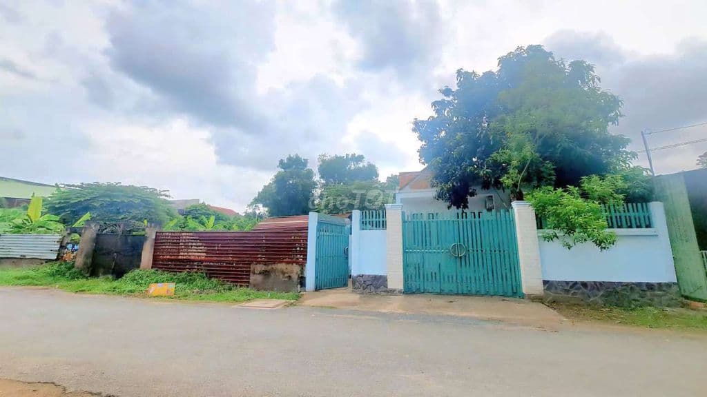 Bán đất ođt 1.006m2 có nhà 96m2 Trần văn Giàu Tân vĩnh Lộc - Ảnh 2