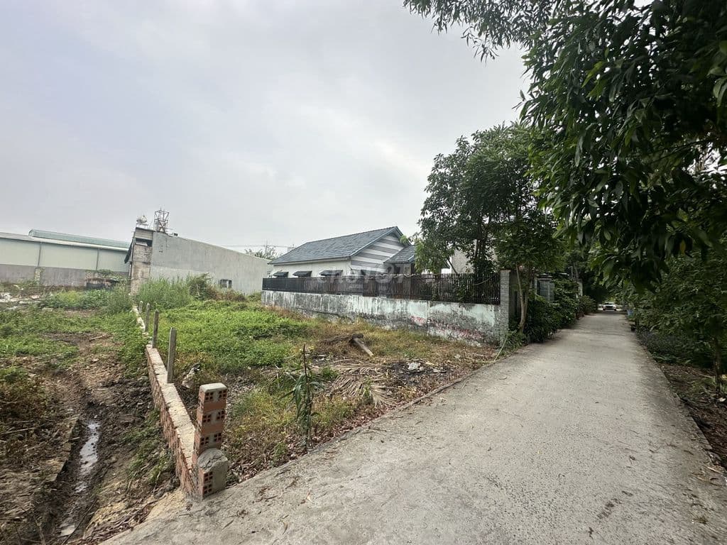 Bán lô đất 1 sẹc đường Bình Mỹ, tổng 316m2, full thổ cư, Xã Bình Mỹ. - Ảnh 2