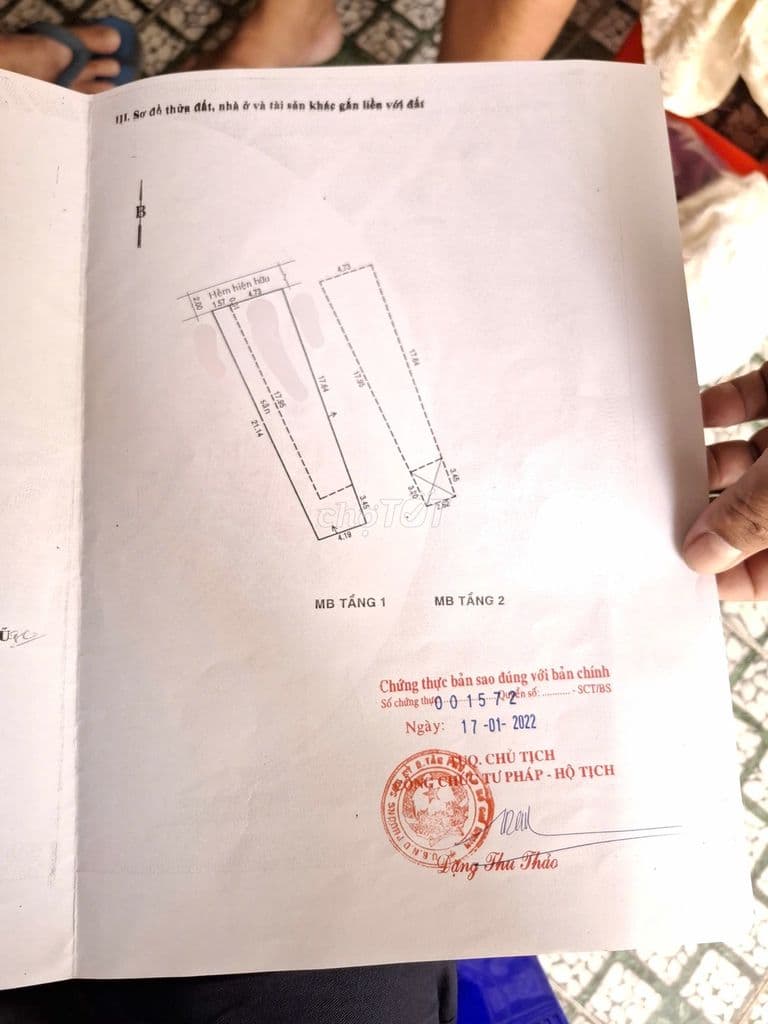 Celadon Tân Phú Chỉ 64tr/m²–110.5m²–Dòng Tiền 240Tr/Năm–Giá 7.1T Sổ A4 - Ảnh 3
