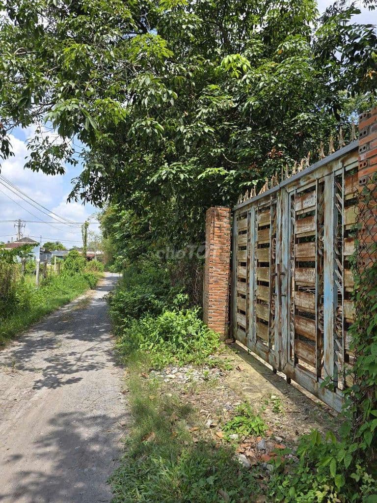 Tôi chính chủ cần bán lô đất xã An Nhơn Tây full thổ 360,8 m2