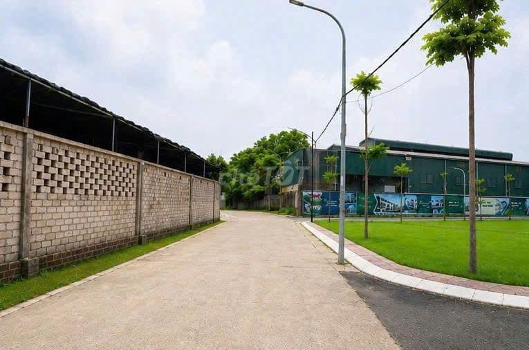 ĐỒNG TRẠNG CỔ ĐÔNG HOÀ LẠC, 100M2, MT7M, GIÁ 4 TỶ - Ảnh 2