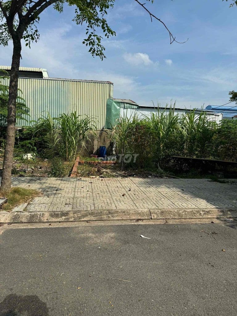 BÁN ĐẤT PHƯỜNG AN PHÚ ĐÔNG – QUẬN 12 - Ảnh 2
