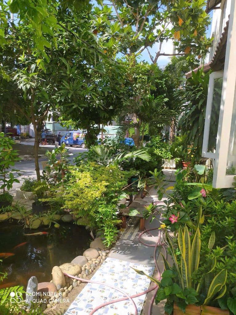 cần bán gấp nhà đẹp xuất ngoại 3 MT đường nhựa 10m Tô ký vào 50m - Ảnh 2