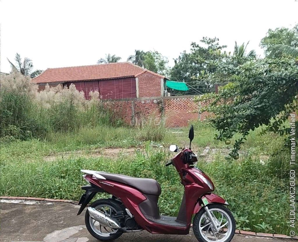 🤣 BÁN ĐẤT TRỊNH NHƯ KHUÊ – GIÁ MỀM HƠN NGƯỜI YÊU CŨ - Ảnh 3