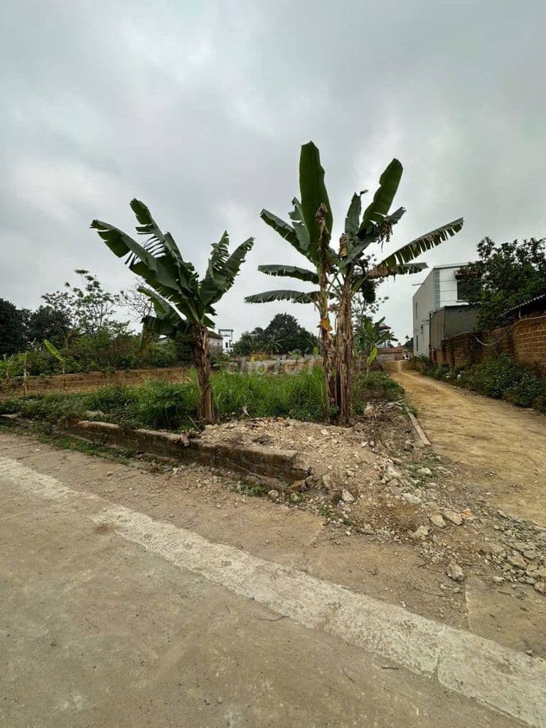 Chính chủ bán gấp lô góc hơn 100m2 thuộc Tân Xã cũ - Ảnh 2