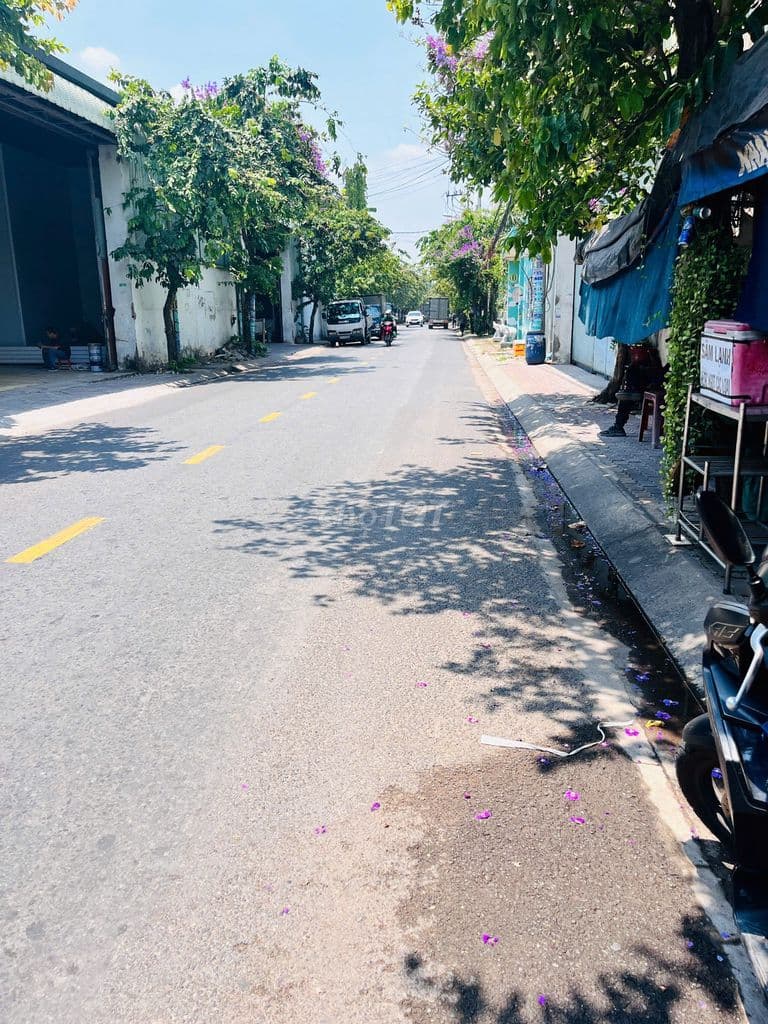 224M2 CÓ HAI DÃY TRỌ 12 PHONG VÀ 2 MẶT BẰNG VỊ TRÍ MẶT TIỀN