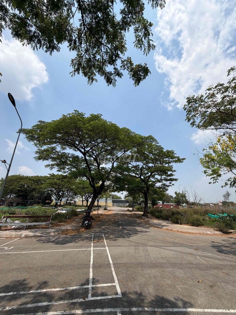 Đất 5 x18 Full Thô cư, có vỉa hè, cây xanh, đường 12m, Đ. Lê Thị Rieng - Ảnh 3