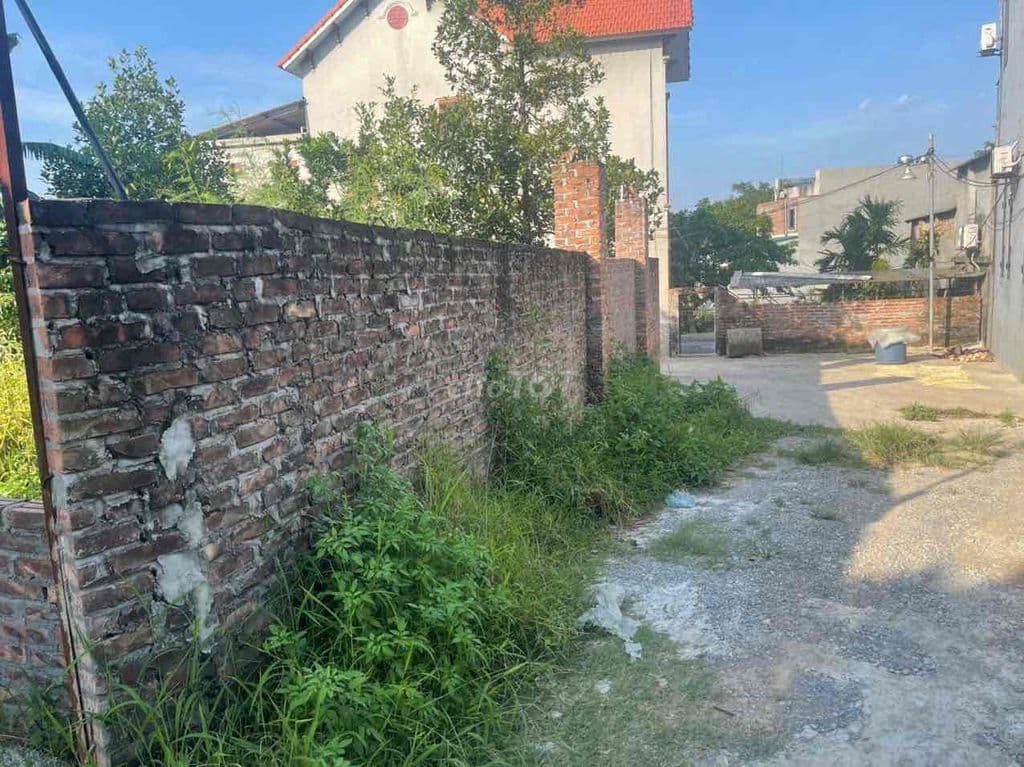 BÁN ĐẤT ĐÔNG PHƯƠNG YÊN, CHƯƠNG MỸ - 196M² - ĐƯỜNG 8M CHIA ĐƯỢC 2 LÔ - Ảnh 3