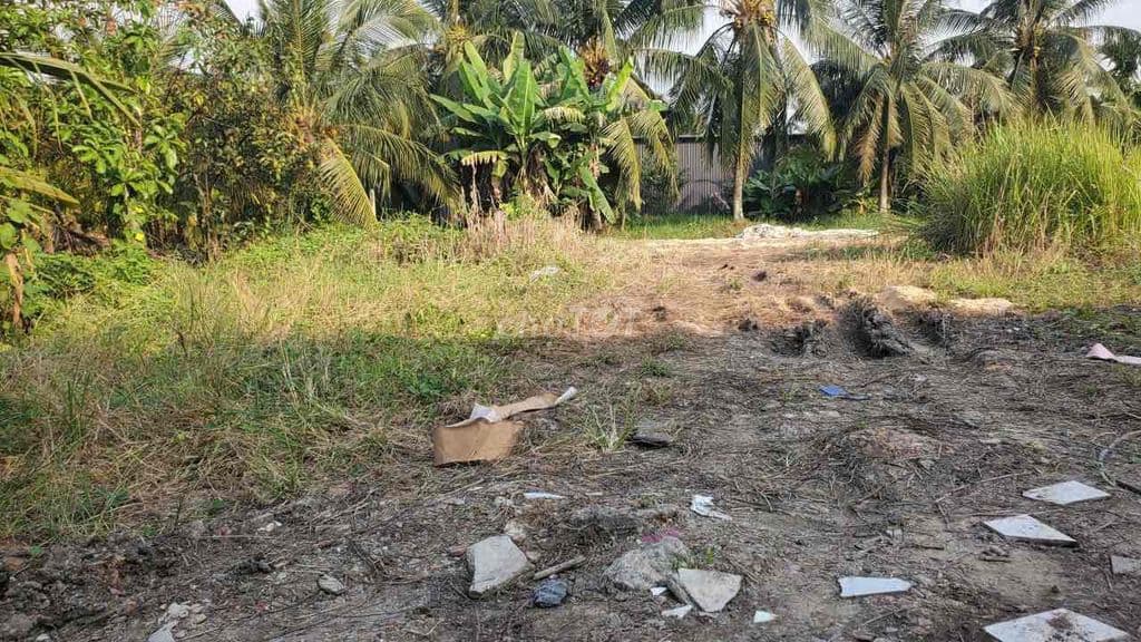 Bán 600m đất nông nghiệp