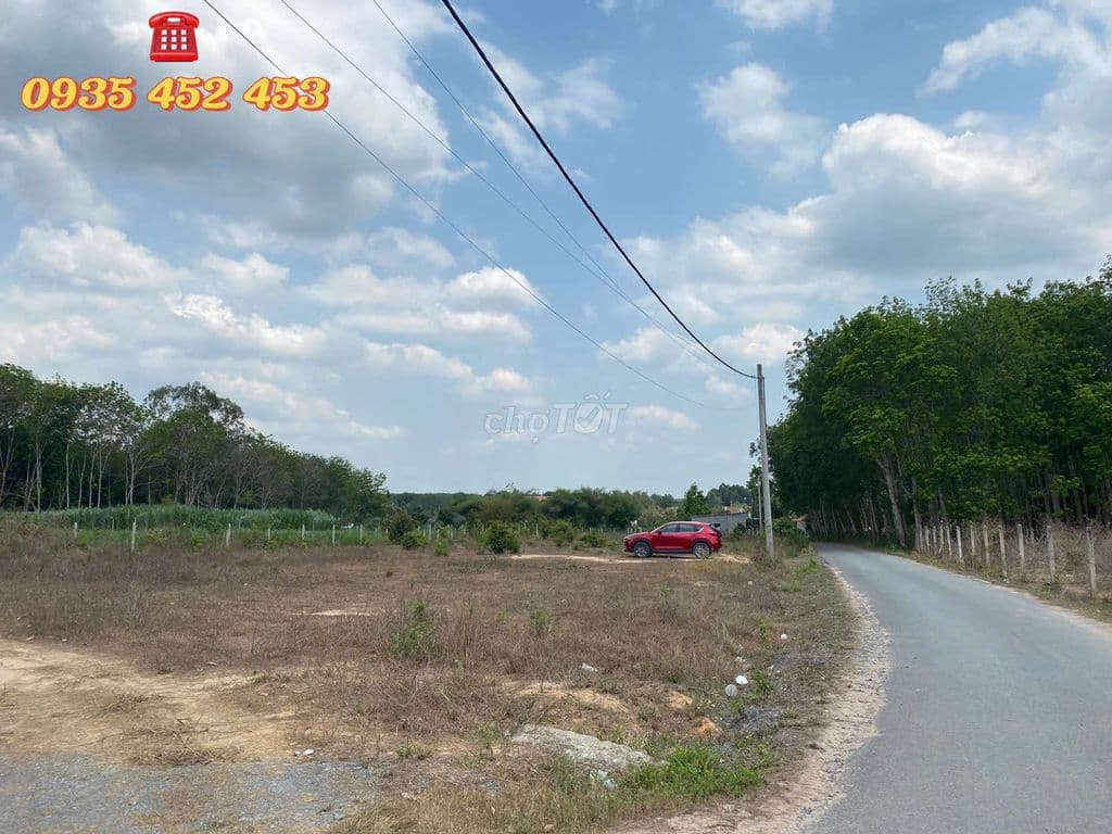 Đất Củ Chi, xã Phú Mỹ Hưng, DT 98m*28m, QH đất ONT, đường 7m, 16,5 tỷ - Ảnh 2