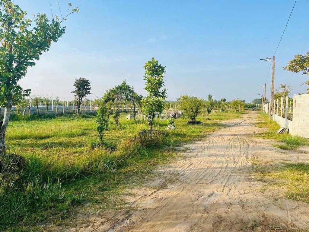 Bán đất vay ngân hàng nhiều hơn giá bán được vài trăm triệu - Ảnh 3