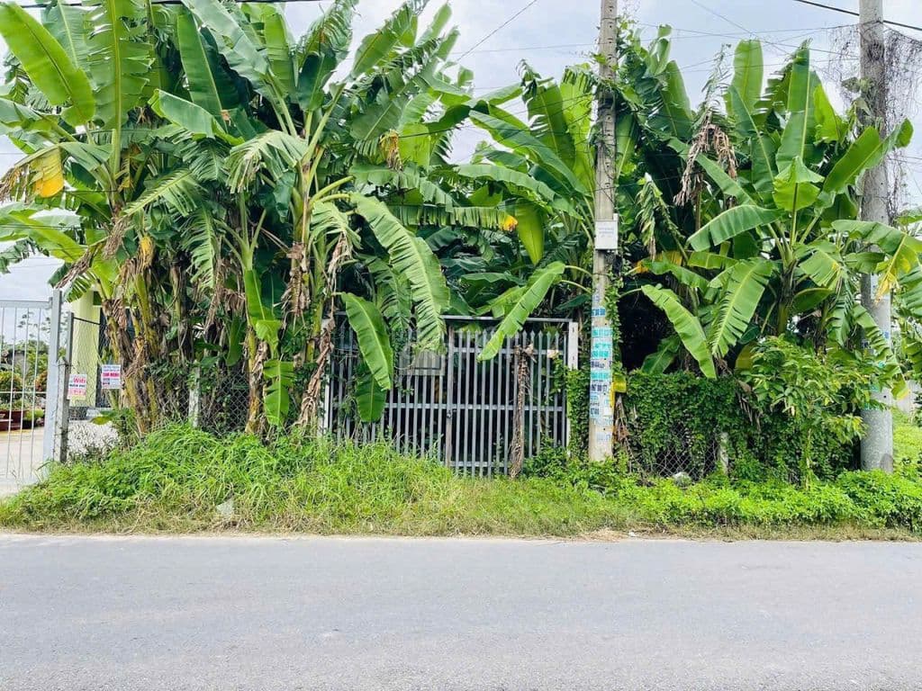 NGỘP NGÂN HÀNG CẦN BÁN NHANH LÔ ĐẤT MT TRẦN QUANG ĐẠO - SỔ HỒNG RIÊNG
