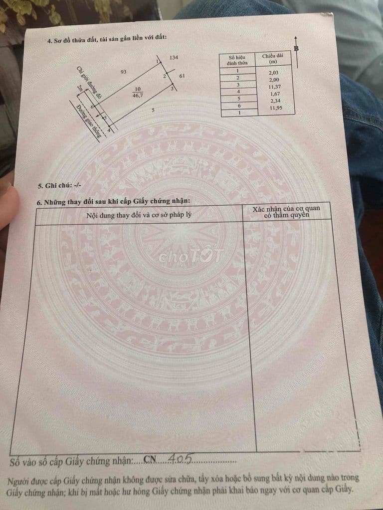 đất chín chủ 4x12shr ccl long hậu nhà bè - Ảnh 3