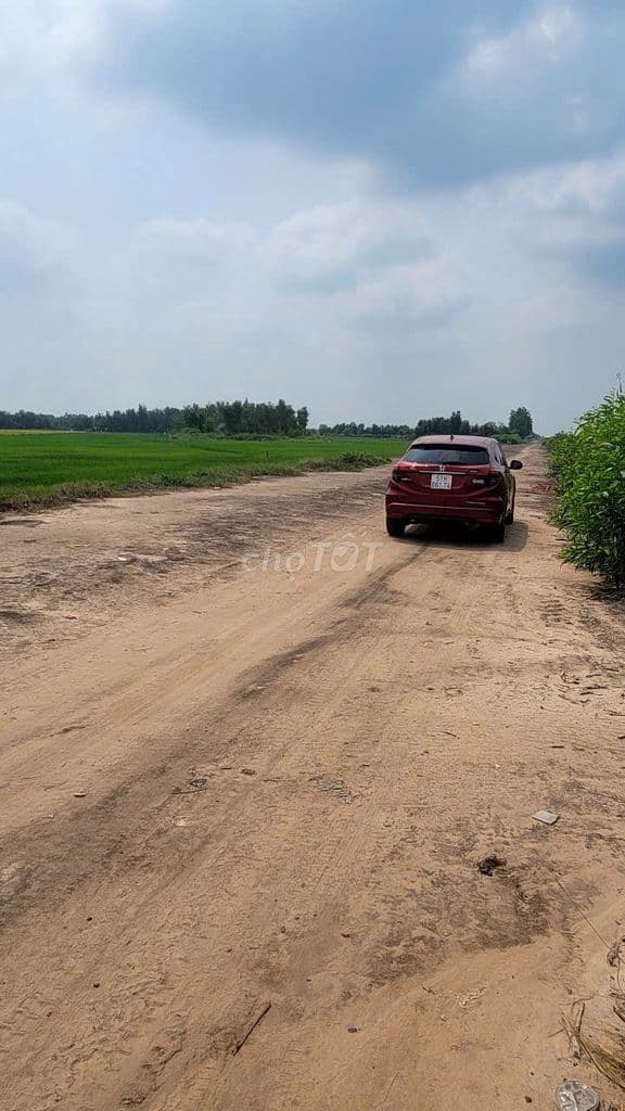 Chính chủ bán nhanh lô đất đất mặt tiền khênh 8. Vinhome Hóc Môn - Ảnh 2