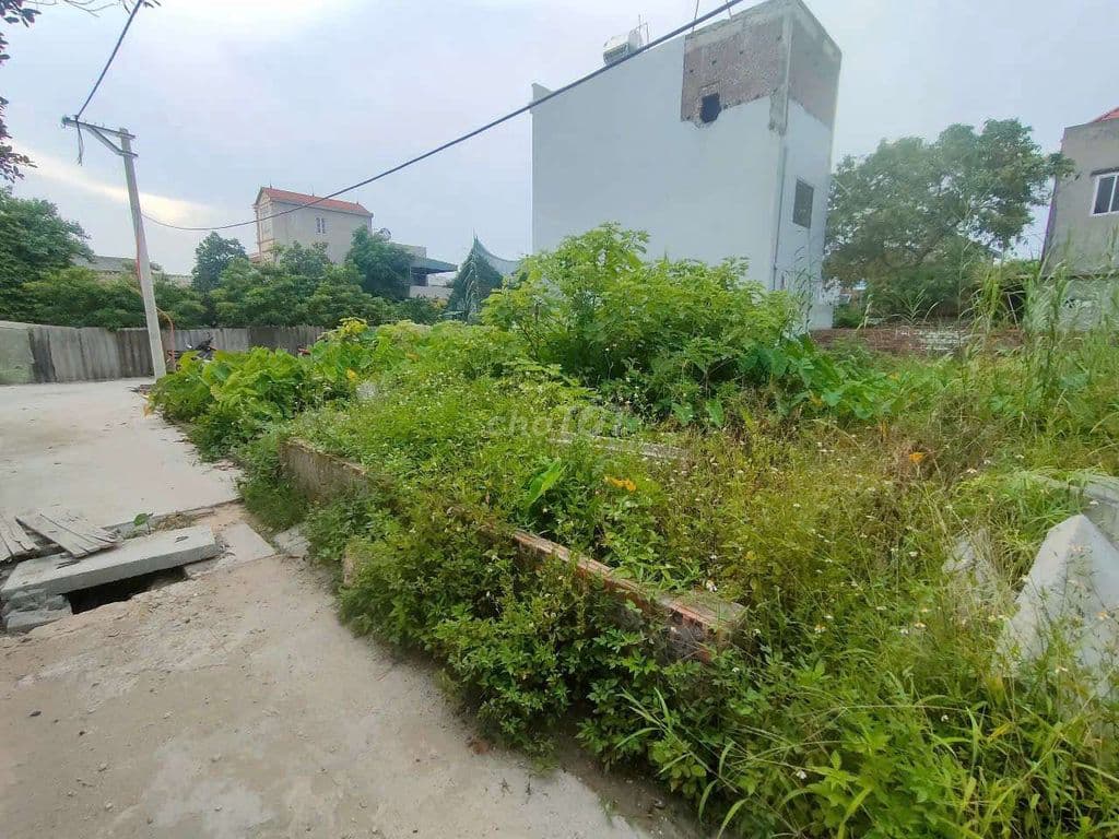 CHỈ 3,8 TỶ 67,2m2 ĐẤT BẾN TRUNG, BẮC HỒNG, ĐÔNG ANH - Ảnh 3
