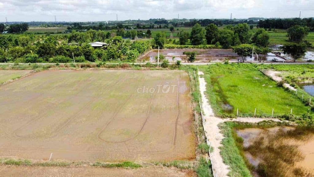 Mặt tiền đường Bưng tràm, Tân Thạnh Tây, Củ Chi dt : 650m đường 7m - Ảnh 3
