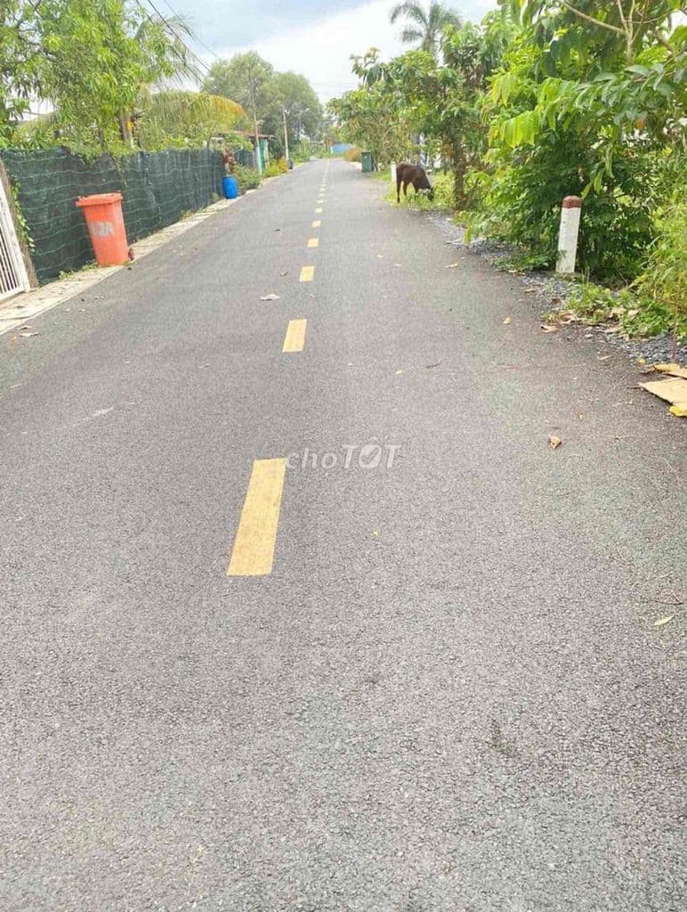 Cần bán đất Phước Hiệp Củ Chi SHR, thổ cư, kế bên QL22 - Ảnh 2