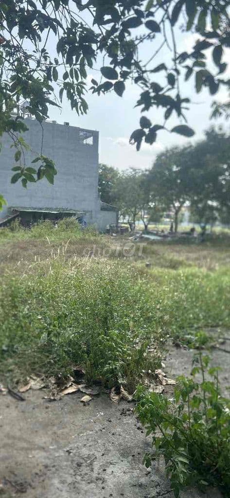 ĐẤT ĐẸP 5x20 – NGAY KDC – ĐÓN SÓNG LÀNG ĐẠI HỌC, GIÁ TỐT! - Ảnh 3