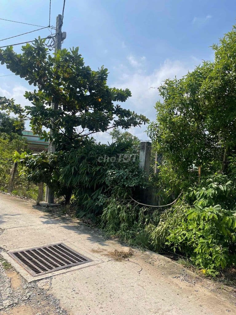 Nhà đất chính chủ