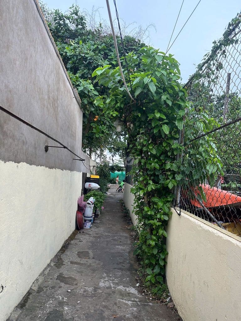 Bán nhà Quốc lộ 13, Hiệp Bình Phước 98m² có 4 phòng trọ giá 4 tỷ - Ảnh 2