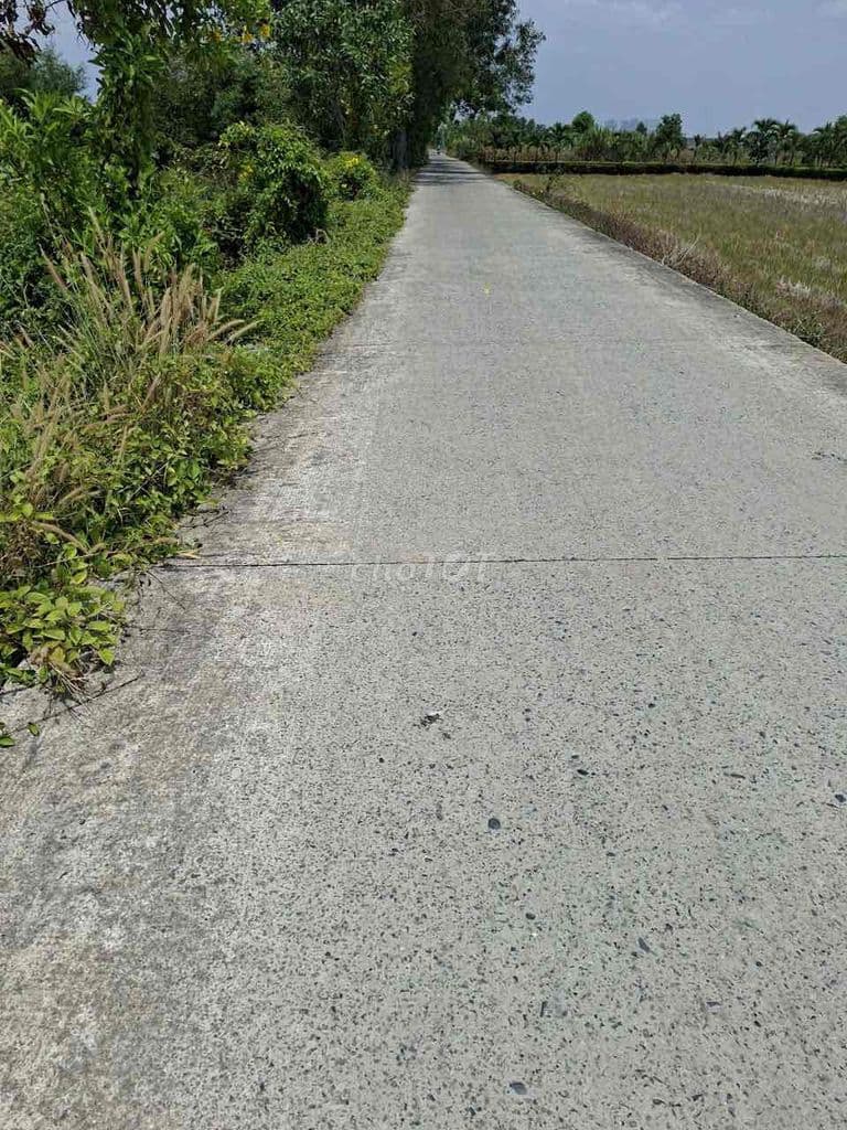 Bán đất xã Hưng Long ngay Làng Đại Học 6000m2 giá 2tr/m2