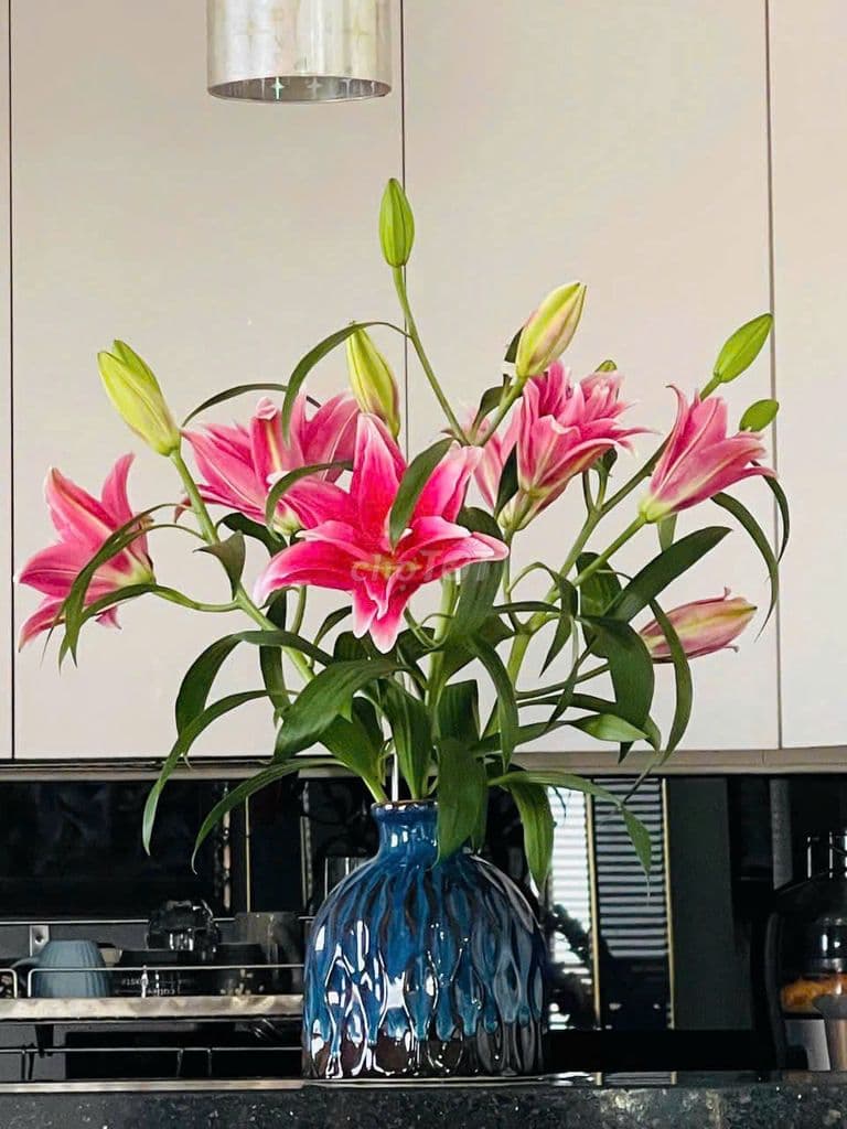 Cho thuê căn hộ 2pn khu Ruby Celadon city - Ảnh 3