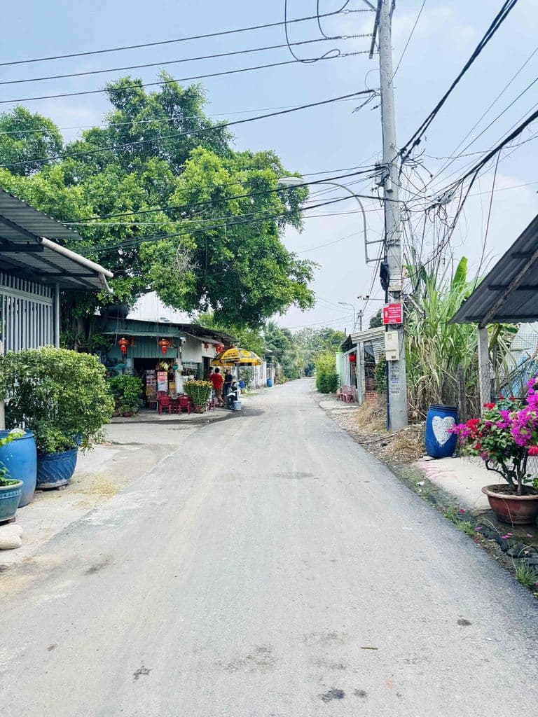 Chủ kẹt tiền cần bán 2lô đất thổ cư 160m2 xã Bình Mỹ-Củ Chi, SHR - Ảnh 2