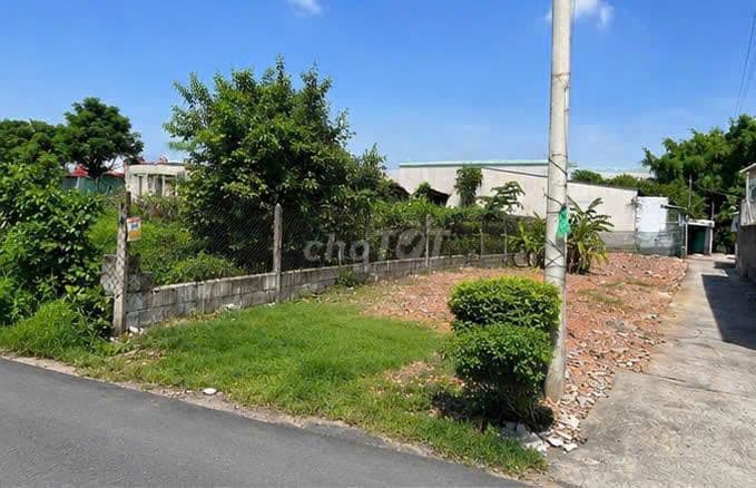 Đất gần VIN HÓC MÔN. 135m²/1,2 tỷ .Đ. Cát Giồng Cát, Tân Phú Trung, - Ảnh 2