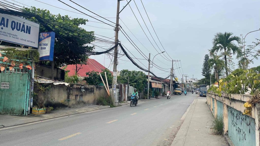 ĐẤT MT ĐƯỜNG LỚN SÁT QL13 11.7X44M ĐƯỜNG LỚN GẦN VẠN PHÚC - Ảnh 3