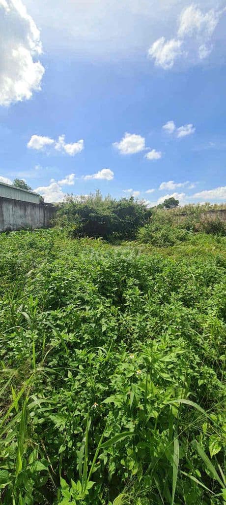 cần bán gấp 1.200m2 đất ở Xã Phạm Văn Hai, Bình Chánh