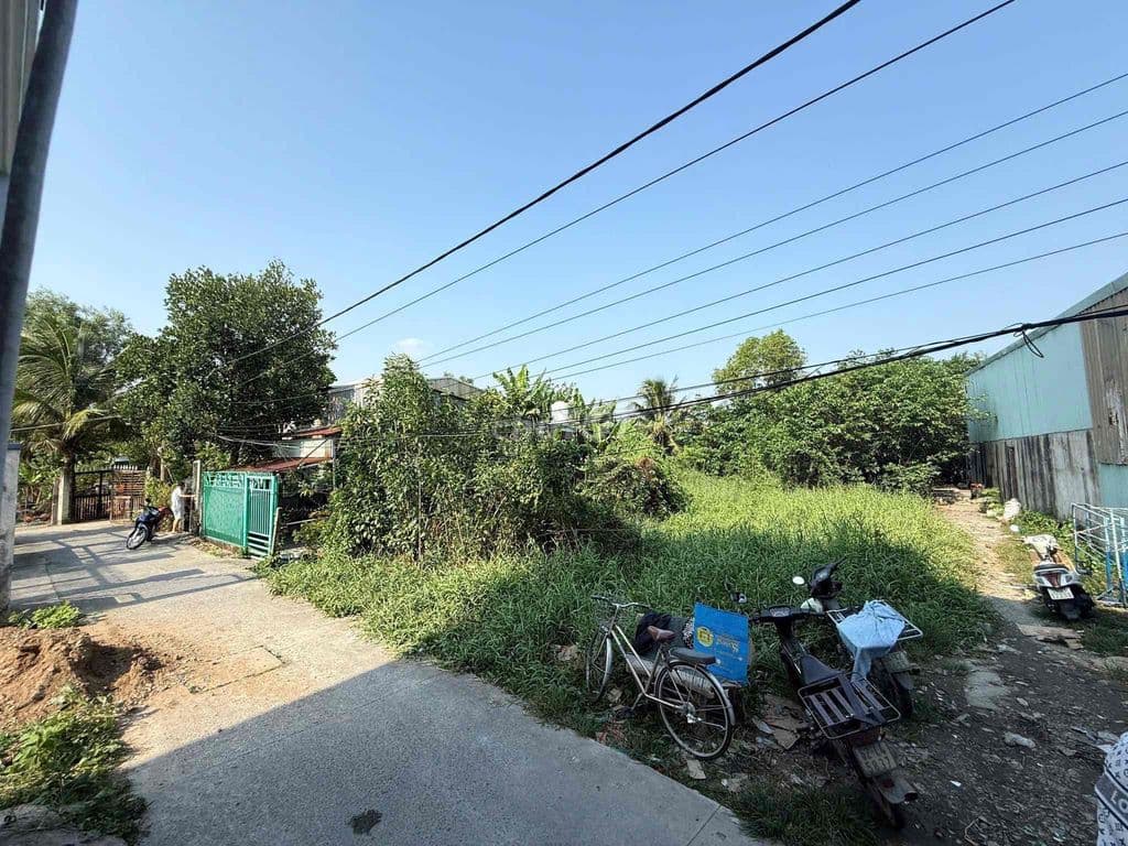 ĐẤT BÌNH CHÁNH – 300M² – GIÁ QUÁ RẺ ĐỂ ĐẦU TƯ