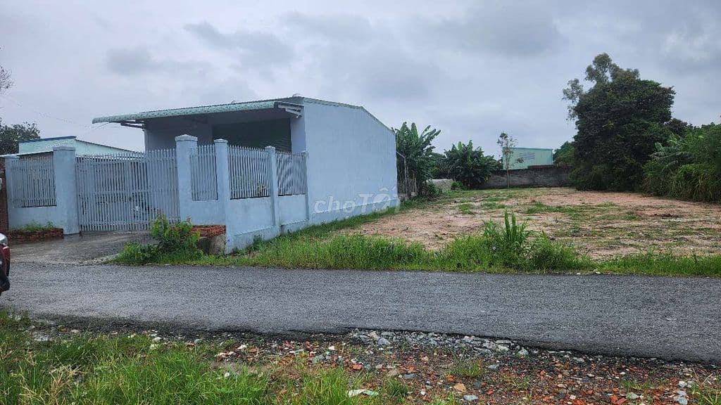 Bán Gấp 1100m2 .Full thổ cư. 1/Đường Nguyễn Thị Lắng - Ảnh 2