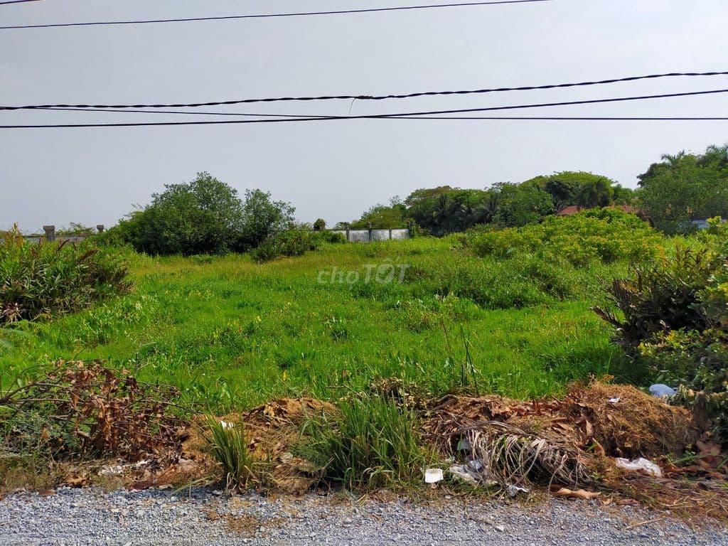 lô đất vườn giáp sông 4.650m2 đường 5, P. Long Phước HCM Giá 17 tr/m2 - Ảnh 2