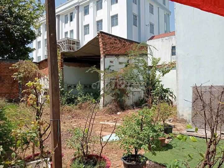 Chính chủ Bán Đất Quận 12. phường APD và tân chánh hiệp 24 - Ảnh 2