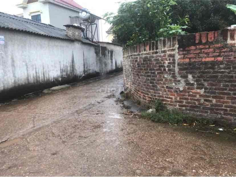 bán 500 m2 đất Xóm Đình - Vệ Linh - phù Linh - Sóc Sơn - Ảnh 2