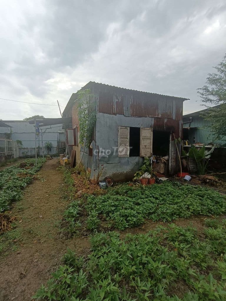 Cần Bán Gấp Đất Vườn. - Ảnh 2