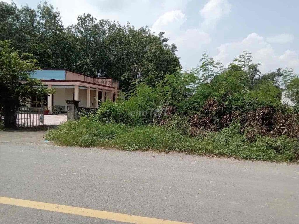 Đất MT 1300m2 có thổ cư đường An Nhơn Tây, Củ Chi - Ảnh 3